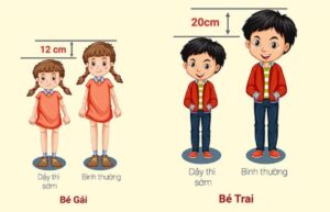 Sự khác biệt về chiều cao của bé khi dậy thì sớm và bình thường