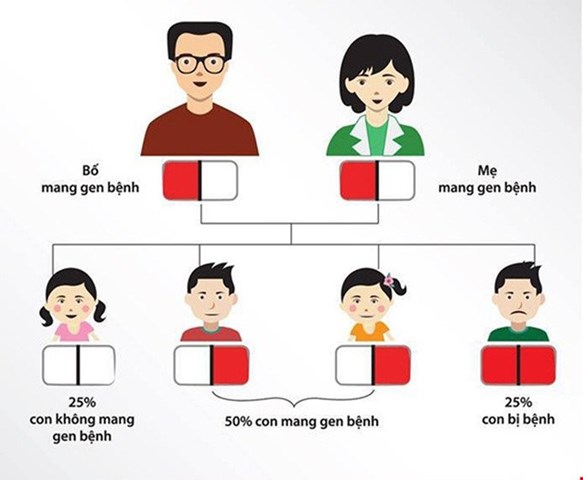 Hình ảnh minh hoạ về khả năng di truyền của bệnh