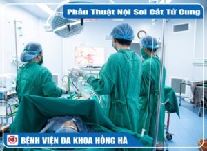 Phẫu Thuật Nội Soi Cắt Tử Cung Hoàn Toàn Và Vét Hạch Chậu 2 Bên