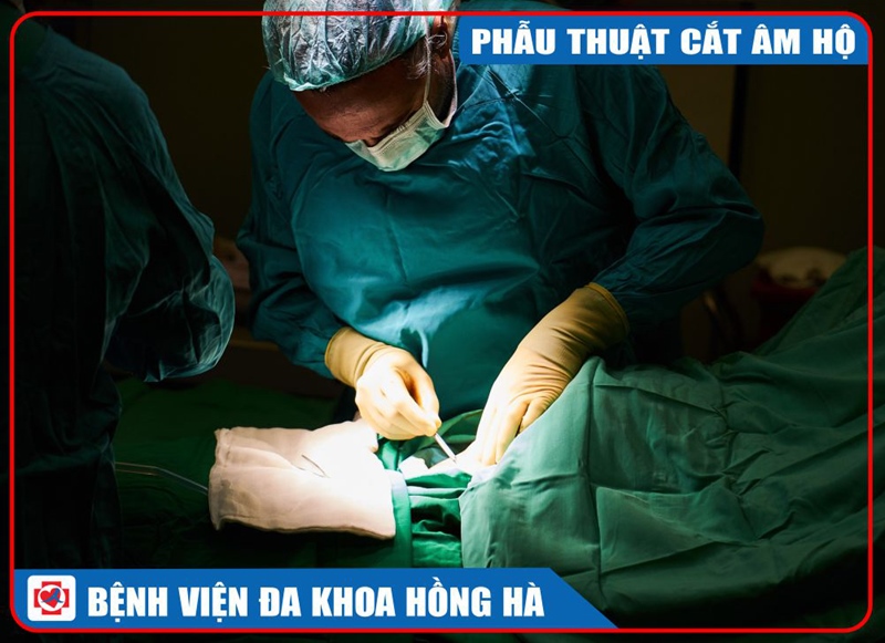 Hình Minh Hoạ Phẫu Thuật Cắt Âm Hộ