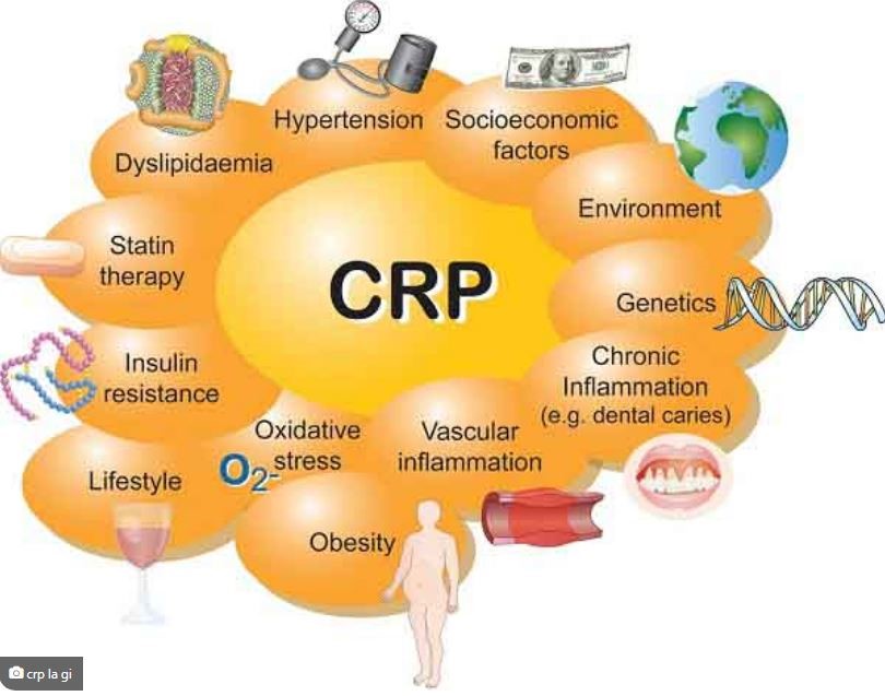 Hình minh hoạ Xét Nghiệm Crp Định Lượng