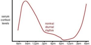 Nhịp điệu tiết cortisol theo thời gian trong ngày
