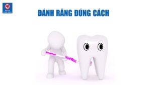 Hình minh họa Đánh Răng Thế Nào Cho Đúng Cách
