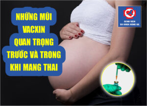 Hình đại diện những mũi vacxin quan trọng trước và trong khi mang thai