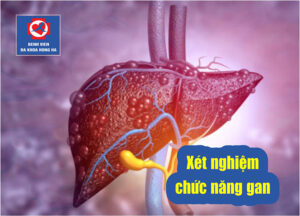 Ảnh đại diện xét nghiệm chức năng gan tại hà tĩnh