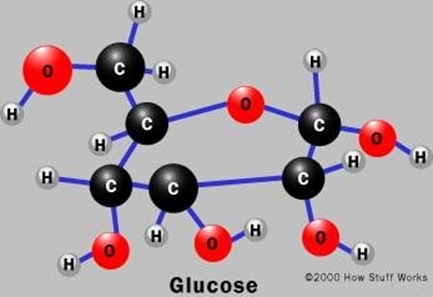 Xét Nghiệm Đường Máu - Glucose