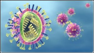 Hình minh hoạ Virus cúm được chia thành 3 tuýp là A, B và C