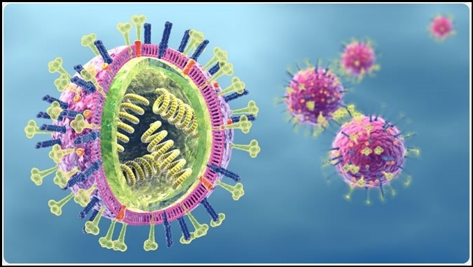 Hình minh hoạ Virus cúm được chia thành 3 tuýp là A, B và C