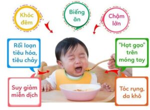 Hình minh hoạ bài viết Xét Nghiệm Định Lượng Kẽm (Zn)